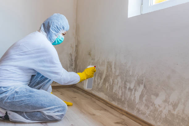 Hvac And Air Duct Mold Remediation inspection of HVAC system in Bear Creek